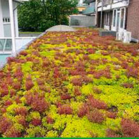 Flordepot vegetatiedak of groendak voor plat dak of hellend dak sedumdak