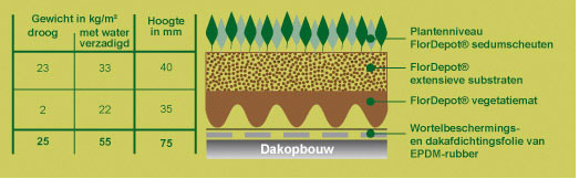 Het Flordepot Sedum groendaksysteem met licht gewicht van slechts 55 kg/m² 